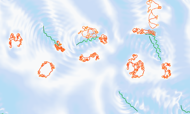 Microcosmos